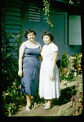 Saipan 1956 Collection, No. 39 Women In The Garden 